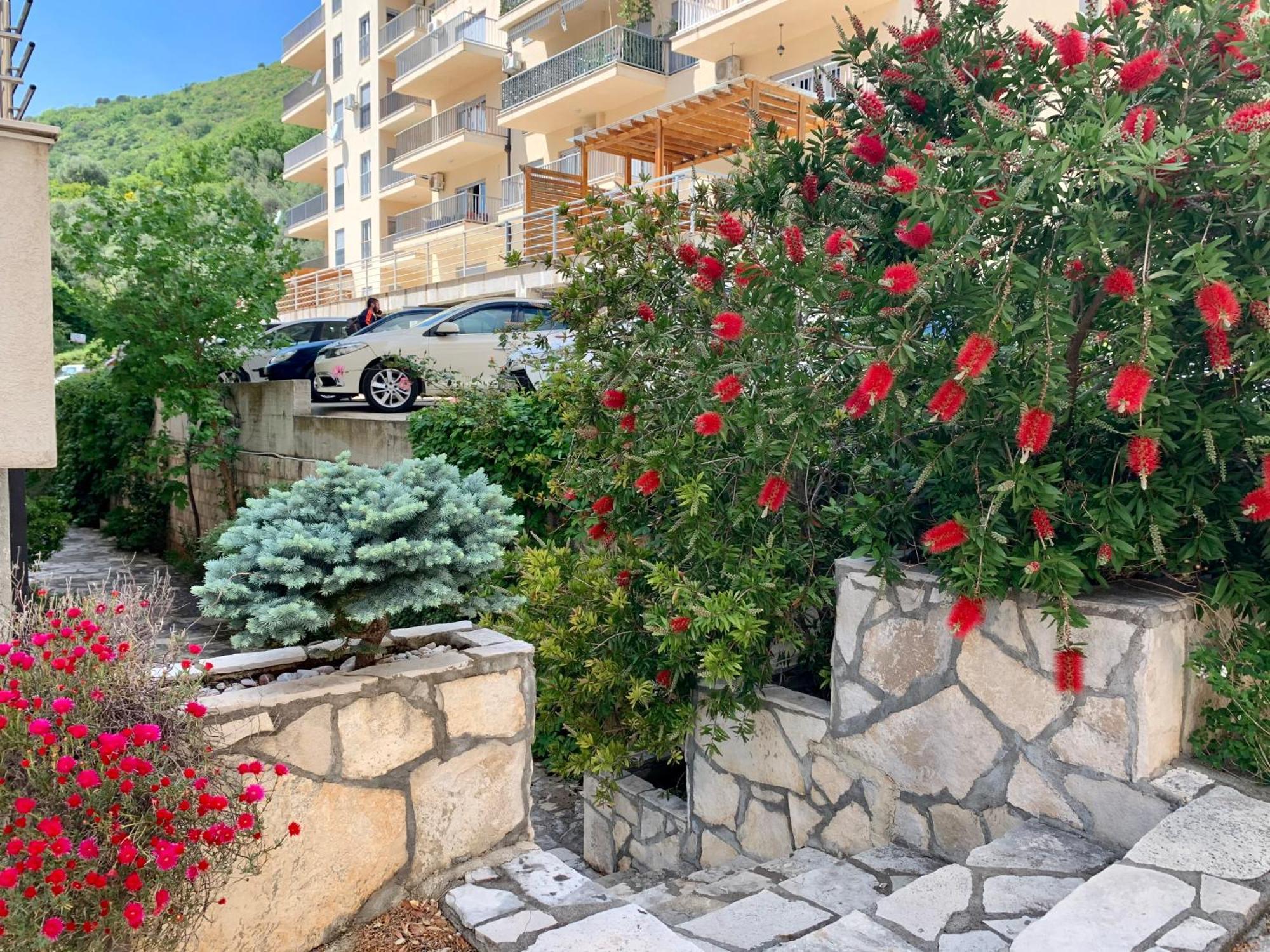 Best View Apartment Petrovac na moru Exterior foto